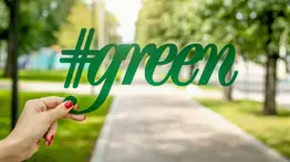 Entérate de lo que el presidente de Fospuca, José Simón Elarba Haddad, está haciendo para impulsar una revolución verde