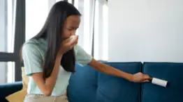 Adiós malos olores en tus muebles: reconocida tienda por departamentos sueca recomienda usar estos ingredientes