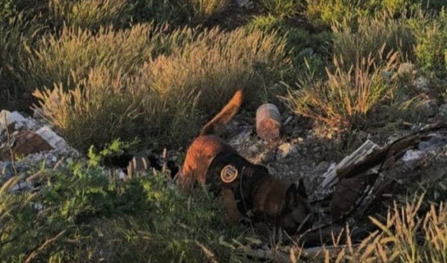 Incautan 60 panelas de droga durante operativo policial en Falcón (+Reporte)