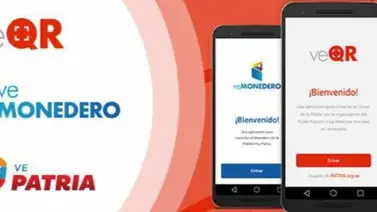 Esto es lo que puedes hacer con el saldo negativo en el Monedero Patria Esto es lo que puedes hacer con el saldo negativo en el Monedero Patria