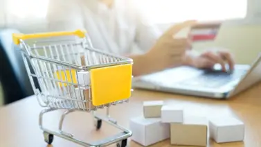 EEUU: Ventas en línea rompen récord en el Día de Acción de Gracias (+CIFRAS) EEUU: Ventas en línea rompen récord en el Día de Acción de Gracias (+CIFRAS)