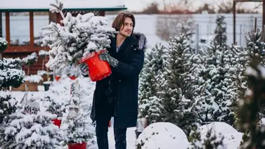 2001online- Alaska- navideñas 2001online- Alaska- navideñas