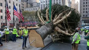 árbol de navidad rockefeller center encendido nueva york eeuu árbol de navidad rockefeller center encendido nueva york eeuu