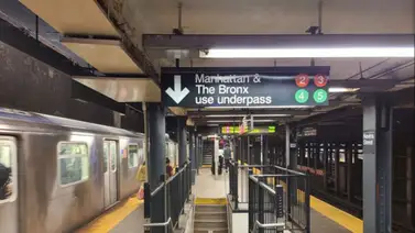 Mujer empujó a un hombre a los rieles en el metro de Nueva York Mujer empujó a un hombre a los rieles en el metro de Nueva York