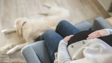 Mujeres tendrán 20 horas de permiso remuneradas para chequeo de embarazo Mujeres tendrán 20 horas de permiso remuneradas para chequeo de embarazo