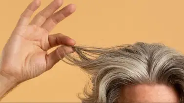 El tinte casero para teñir las canas y fortalecer el cabello El tinte casero para teñir las canas y fortalecer el cabello