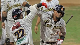 Leones del Caracas anuncia que traerá nuevo relevista (+Detalles) 