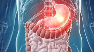 La hierba medicinal que optimiza el funcionamiento del sistema digestivo La hierba medicinal que optimiza el funcionamiento del sistema digestivo