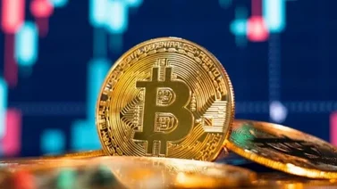 Hombre pierde $760 millones en bitcoins en la basura 