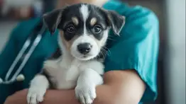 Nueva jornada de atención veterinaria en Coche y Antímano (+Fecha)