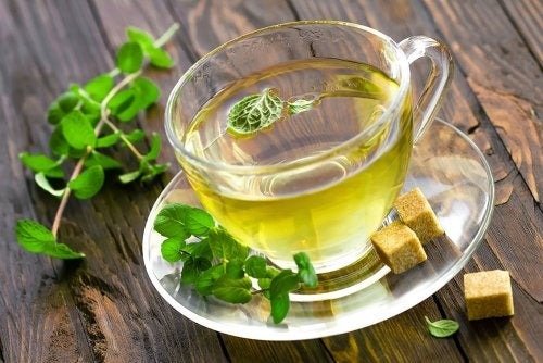 La hierba medicinal para deshinchar la barriga