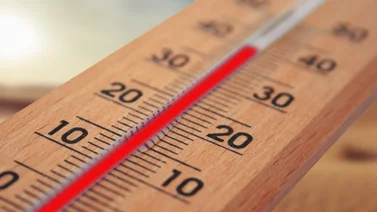 Así estará el clima en Chicago el fin de semana