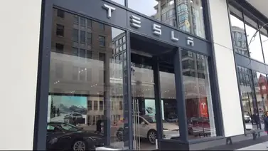 Washington | Tesla lanza empleo con sueldo de 36 dólares la hora (+Requisitos) Washington | Tesla lanza empleo con sueldo de 36 dólares la hora (+Requisitos)