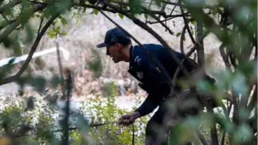 Detienen en un McDonald’s al sospechoso de matar a Brian Thompson  Detienen en un McDonald’s al sospechoso de matar a Brian Thompson