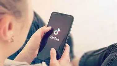 TikTok pide paralizar la ley que podría prohibirla en EEUU hasta que llegue Trump TikTok pide paralizar la ley que podría prohibirla en EEUU hasta que llegue Trump