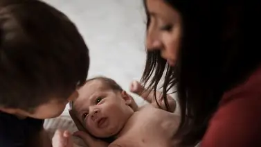 2001online- EEUU- adopción 2001online- EEUU- adopción