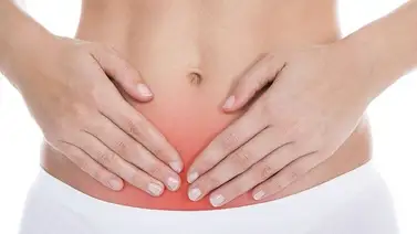 La planta para combatir la hinchazón abdominal La planta para combatir la hinchazón abdominal