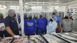 Venezuela exporta medusa bola de cañón a China