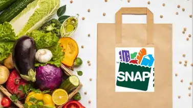 Pagos SNAP Florida Pagos SNAP Florida