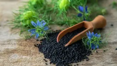 Este condimento mejora el funcionamiento del cerebro y aporta colágeno Este condimento mejora el funcionamiento del cerebro y aporta colágeno