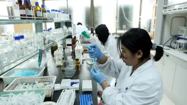 Corea del Sur emite alerta por brote de gripe (+Detalles) Corea del Sur emite alerta por brote de gripe (+Detalles)