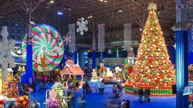 Chicago: Sepa dónde ver los espectáculos de luces de Navidad Chicago: Sepa dónde ver los espectáculos de luces de Navidad