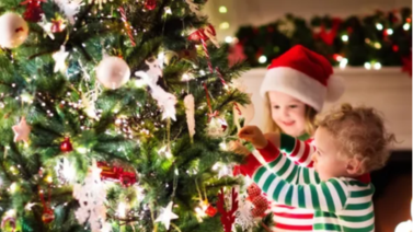 ¿De dónde nace la cultura de los árboles Navideños?