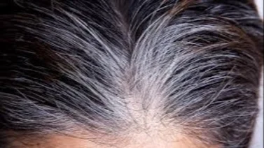 El fabuloso tinte casero para teñir las canas