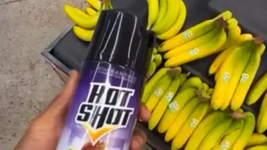 eeuu-influencer-detenido- eeuu-influencer-detenido-