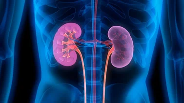 La infusión ideal para limpiar los riñones rápidamente