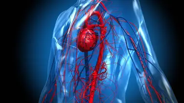 La bebida natural para limpiar las arterias en un tris La bebida natural para limpiar las arterias en un tris