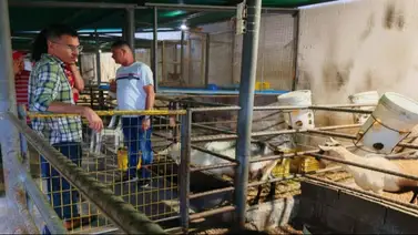 Bancos Comunales financiarán a emprendedores y productores en Miranda Bancos Comunales financiarán a emprendedores y productores en Miranda