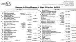 ESTAR SEGUROS, S.A. BALANCES II 30 DIC 2024