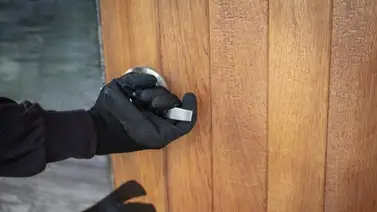 2001online- Venezuela- Fin de Año 2001online- Venezuela- Fin de Año