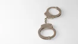 Nueve meses de prisión: venezolano Julio Marcano irá a la cárcel por estos cargos