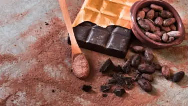 Flavonoles del cacao: conoce cómo este alimento ayuda a tu mejor salud cerebral Flavonoles del cacao: conoce cómo este alimento ayuda a tu mejor salud cerebral