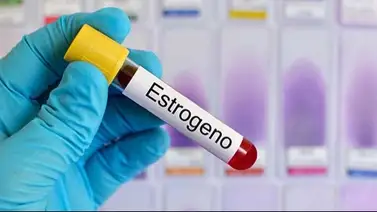 Cada vez más mujeres sufren de estrógeno alto: esta es la explicación de los expertos y sus consejos para prevenirlo Cada vez más mujeres sufren de estrógeno alto: esta es la explicación de los expertos y sus consejos para prevenirlo