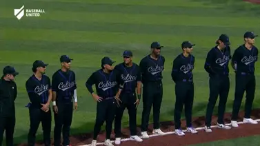 ¿Cuándo son las finales del Baseball United y quiénes se enfrentarán? ¿Cuándo son las finales del Baseball United y quiénes se enfrentarán?