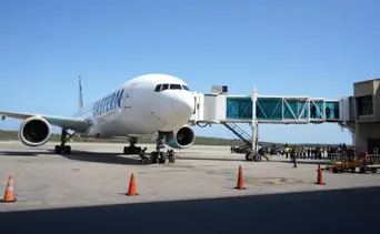 Vuelta a la Patria: llega vuelo con 218 repatriados desde EEUU; revisan caso a caso