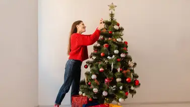 Agrega estos elementos a tu árbol de Navidad: amuletos para la abundancia y la prosperidad Agrega estos elementos a tu árbol de Navidad: amuletos para la abundancia y la prosperidad