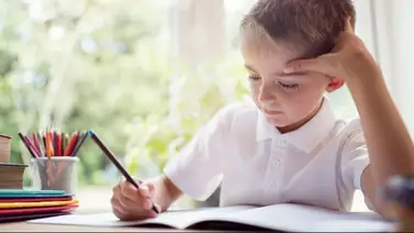 Regulación de tareas escolares: Cecodap explica qué cantidad de actividades y tiempo podrían sobrecargar al niño Regulación de tareas escolares: Cecodap explica qué cantidad de actividades y tiempo podrían sobrecargar al niño