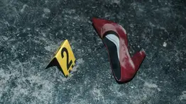 Madre venezolana asesinada por su pareja en Bélgica: revelan siniestros detalles y un historial de violencia