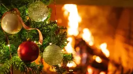 Cortocircuito en luces de navidad habría causado una tragedia: muere un hombre y su perro durante incendio