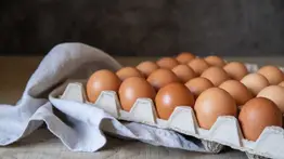 ¿Cómo saber si un huevo está fresco?: chef comparte un truco para comprobarlo