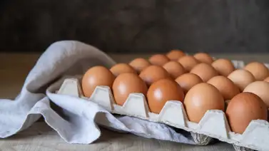 ¿Cómo saber si un huevo está fresco?: chef comparte un truco para comprobarlo ¿Cómo saber si un huevo está fresco?: chef comparte un truco para comprobarlo