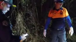 Identifican al motorizado baleado en plena vía: este sería el principal móvil 