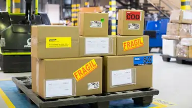 Zoom anuncia horario especial navideño: así atenderá el 24 y 31 de diciembre Zoom anuncia horario especial navideño: así atenderá el 24 y 31 de diciembre