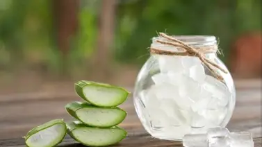 Hidrata la piel de tus manos con esta crema a base de aloe vera: aprende a prepararla fácil y rápido Hidrata la piel de tus manos con esta crema a base de aloe vera: aprende a prepararla fácil y rápido