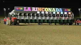 Suplemento Hípico de 2001 fue el mejor en los pronósticos