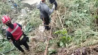 Hallazgo en la Caracas-La Guaira: bomberos recuperan cadáver de una mujer en zona boscosa Hallazgo en la Caracas-La Guaira: bomberos recuperan cadáver de una mujer en zona boscosa